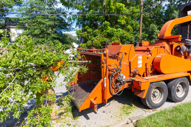 Best Commercial Tree Services  in Coupeville, WA